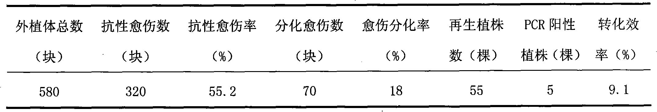 Method for carrying out gene transformation on manioca by using Agrobacterium tumefaciens mediated transformation