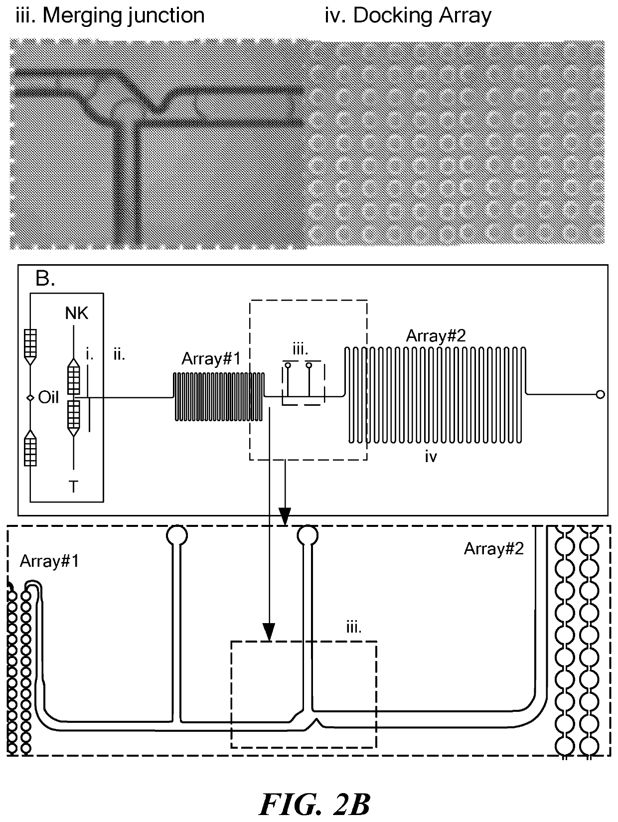 Single cell fluorescence in situ hybridization in microfluidic droplets