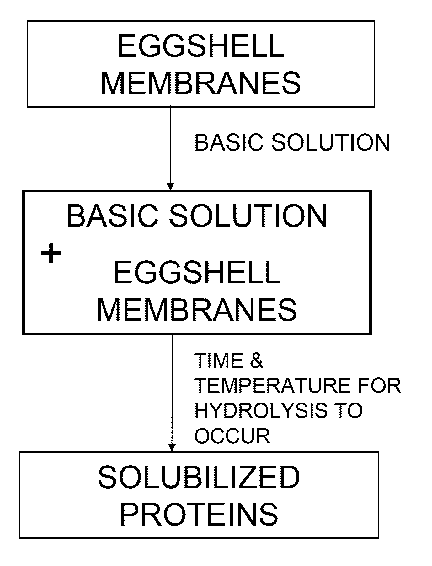 Novel process for solubilizing protein from a proteinaceous material and compositions thereof