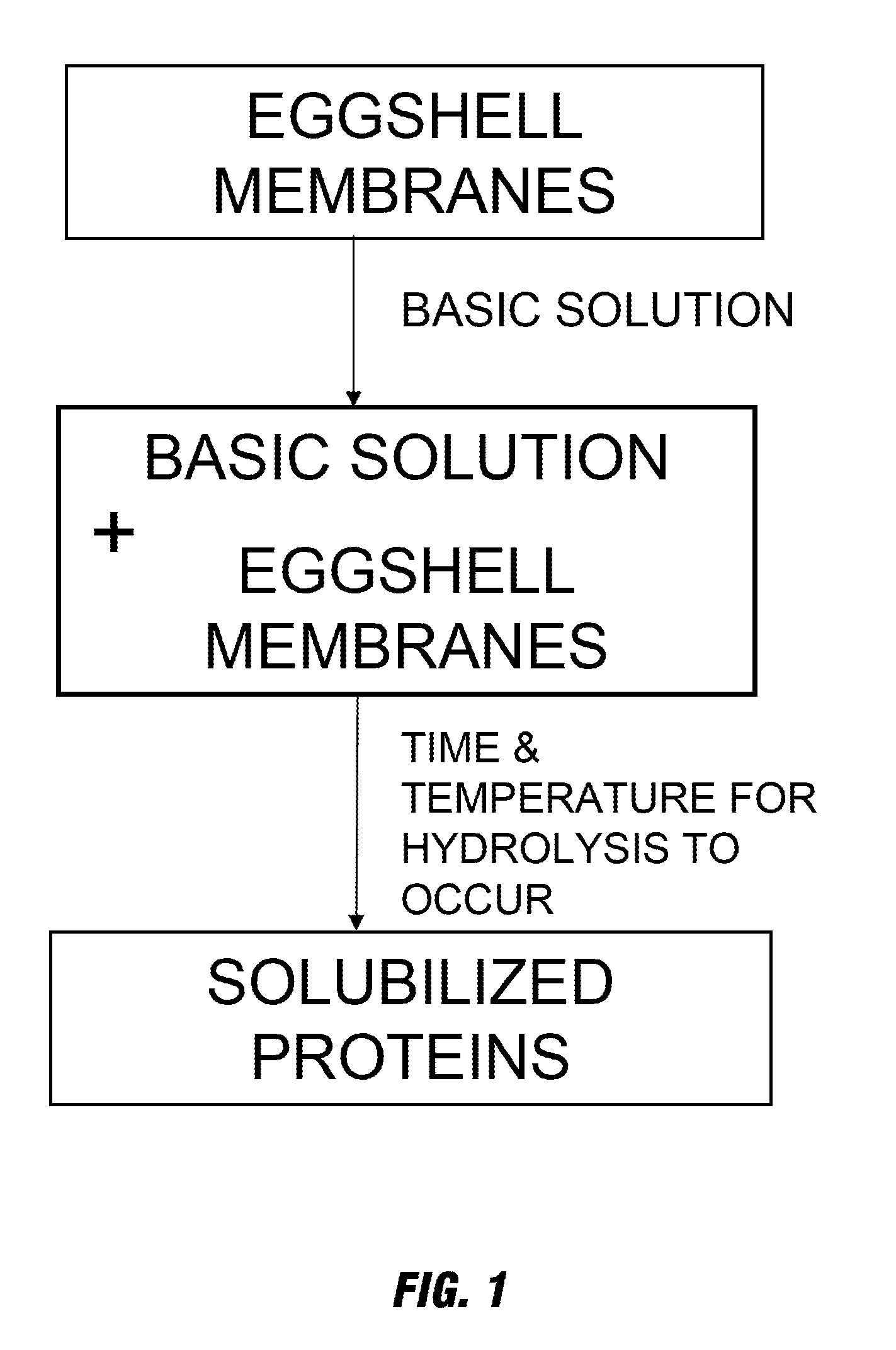 Novel process for solubilizing protein from a proteinaceous material and compositions thereof