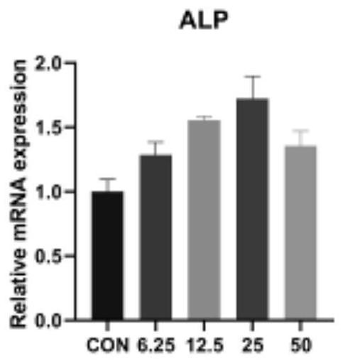 Application of isoliquiritin in preparation of medicine for treating osteoporosis