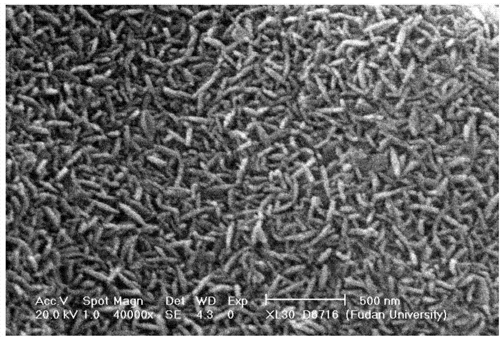 Charcoal and iron composite material and preparation method thereof