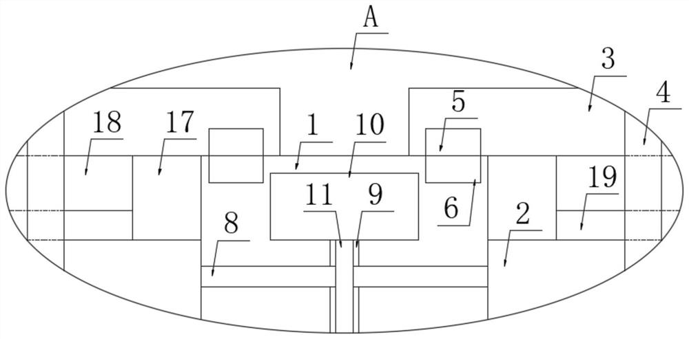 Cell and strain culture apparatus and use method therefor