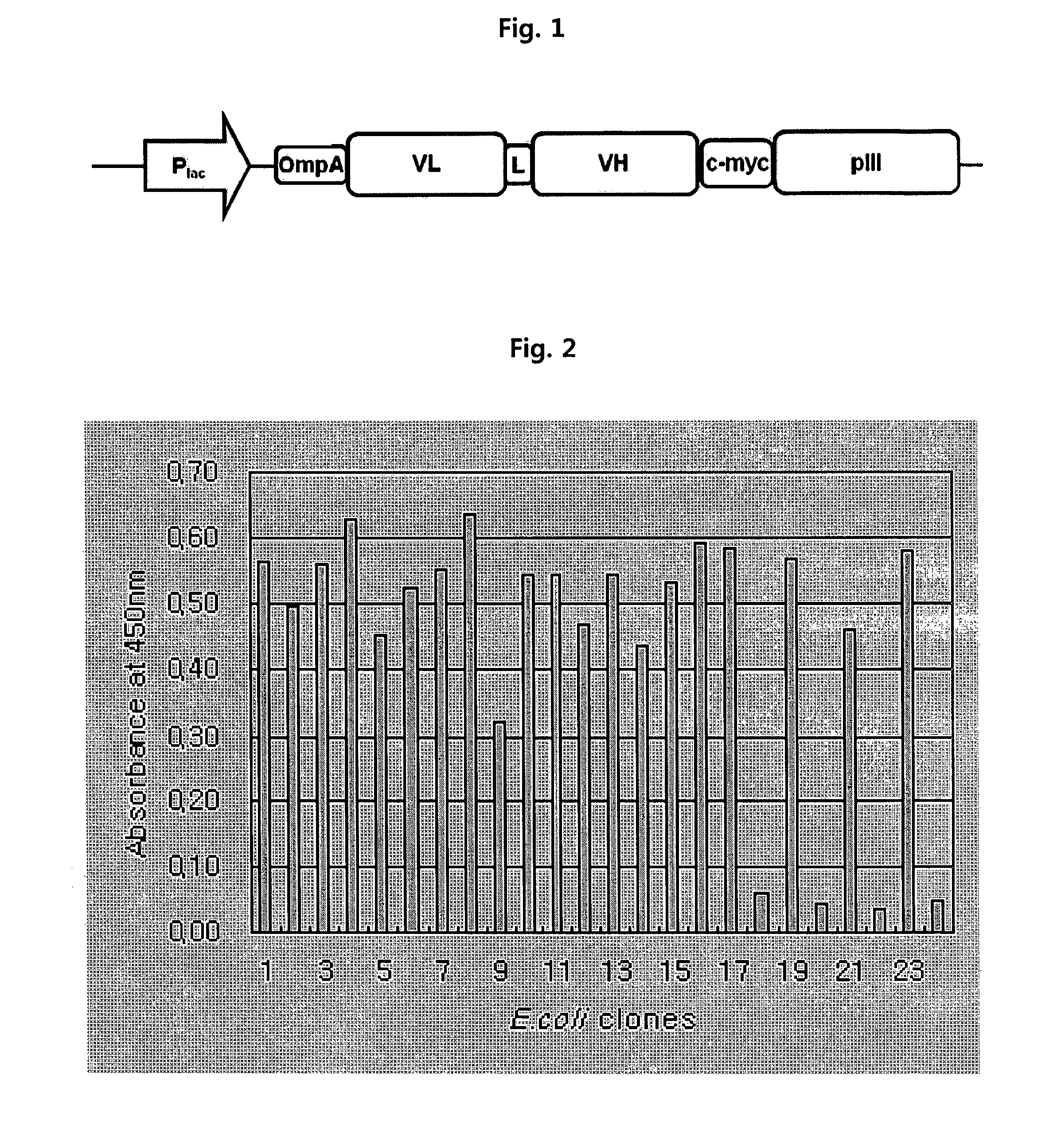 Anti-ErbB2 antibody variants