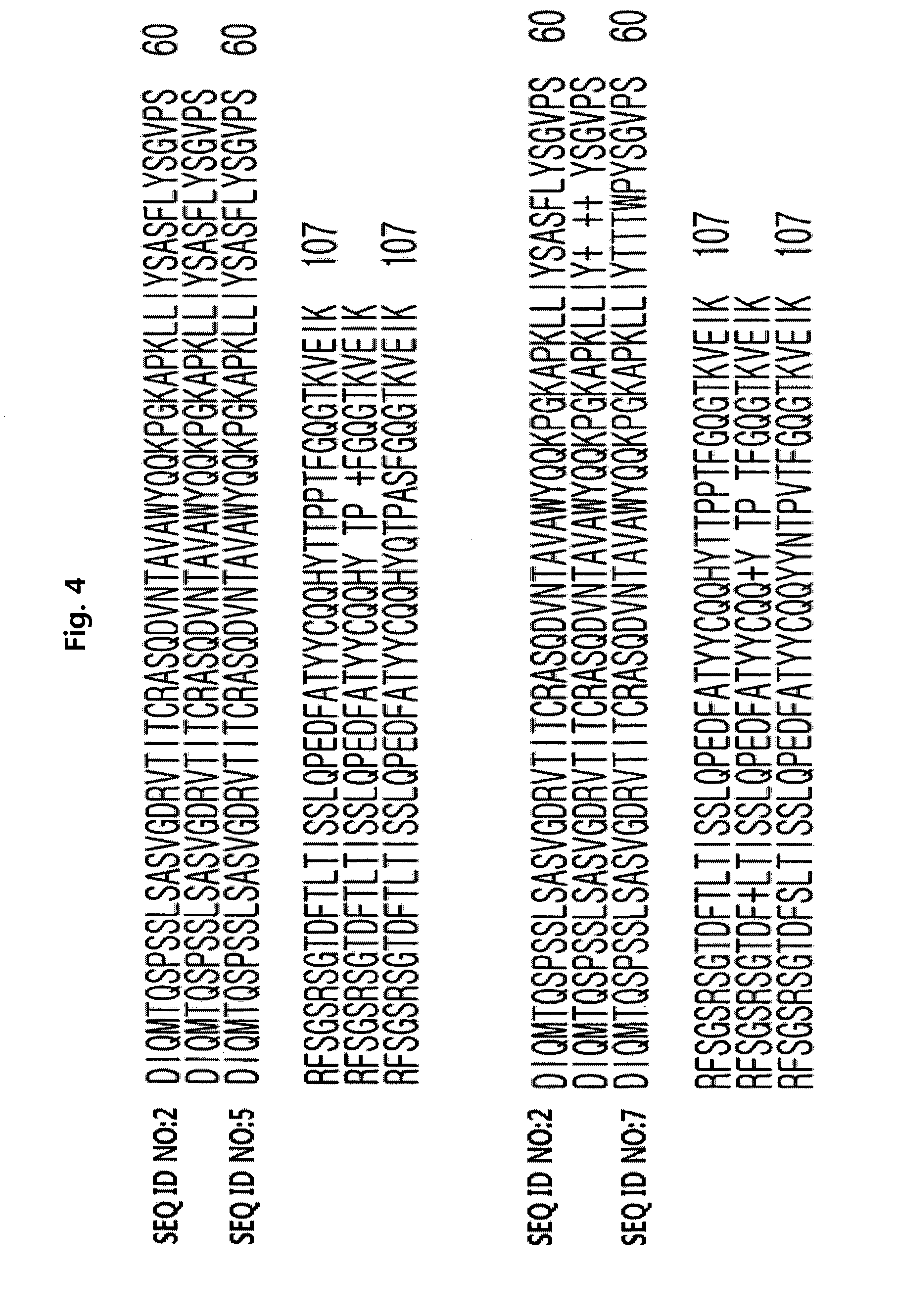 Anti-ErbB2 antibody variants