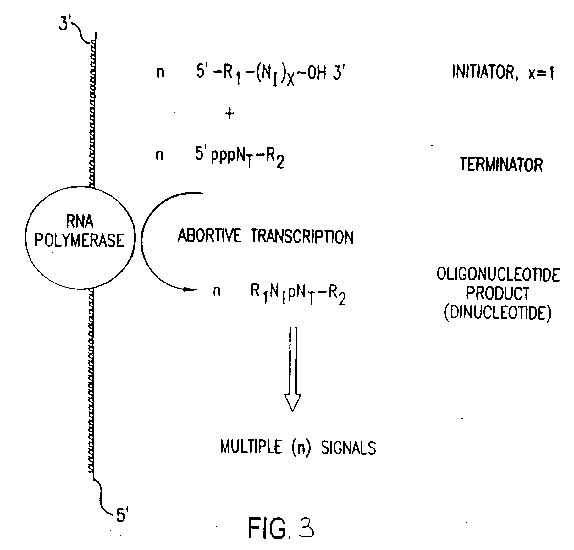 Compositions, methods and detection technologies for reiterative oligonucleotide synthesis