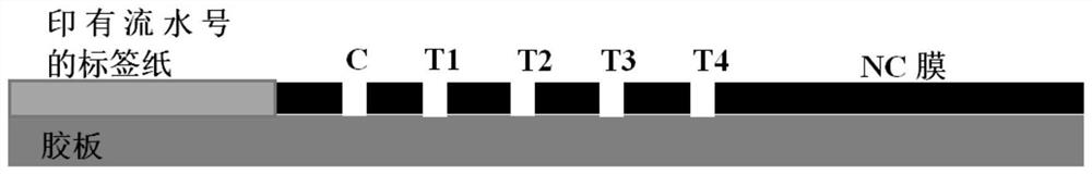 Novel coronavirus 2019-nCoV antibody spectrum detection kit