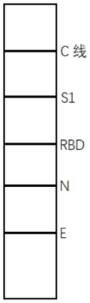 Novel coronavirus 2019-nCoV antibody spectrum detection kit