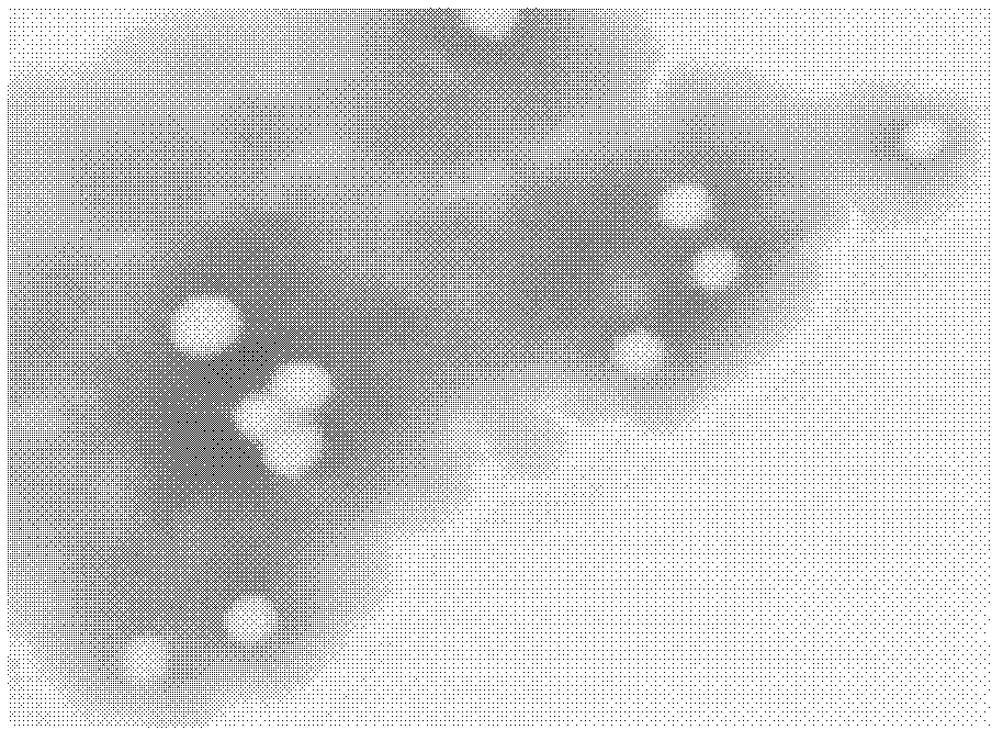 Micro-emulsion thermosensitive gel for skin external use and preparation method thereof