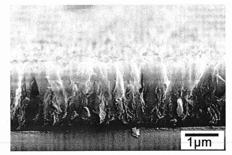 Silver doped titanium dioxide thin film and preparation method thereof