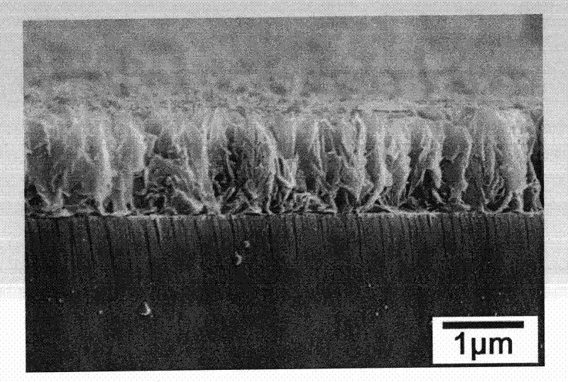 Silver doped titanium dioxide thin film and preparation method thereof