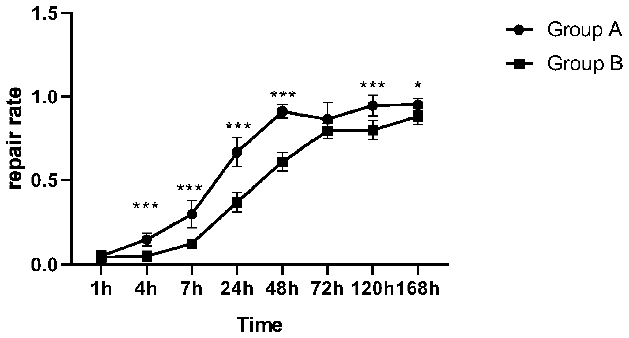 Camellia oil-contained skin barrier repairing micro-nano emulsion and preparation method therefor