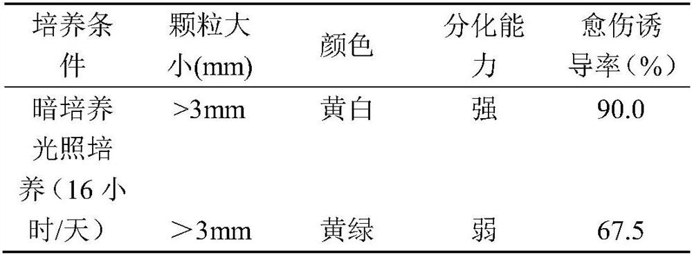 Fig callus culture method