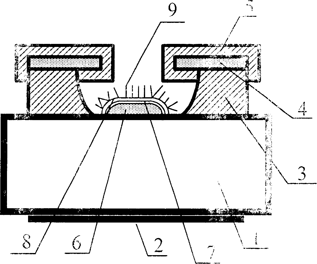 Panel display device with short circuit prevention cathodic protection structure and its production technique