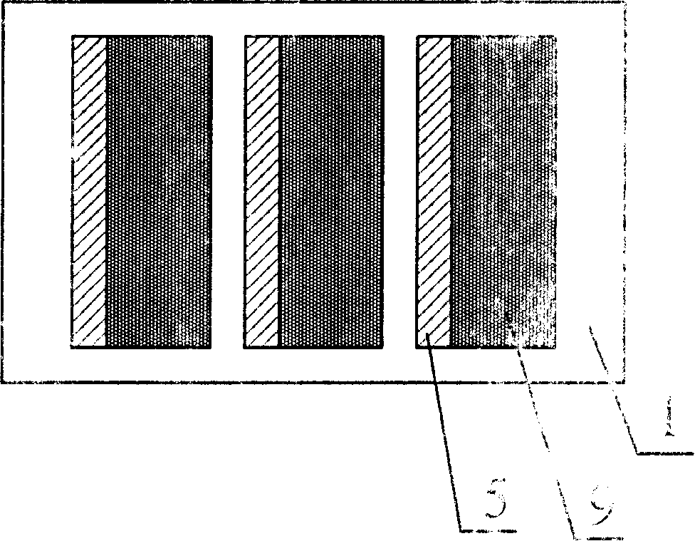 Panel display device with short circuit prevention cathodic protection structure and its production technique