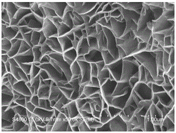 Manganese dioxide/polypyrrole composite electrode free of binder, preparation method and application of manganese dioxide/polypyrrole composite electrode