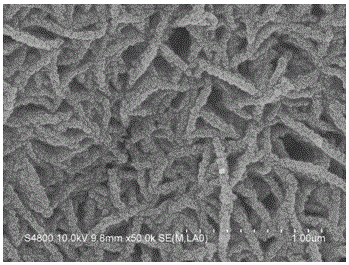 Manganese dioxide/polypyrrole composite electrode free of binder, preparation method and application of manganese dioxide/polypyrrole composite electrode