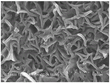 Manganese dioxide/polypyrrole composite electrode free of binder, preparation method and application of manganese dioxide/polypyrrole composite electrode