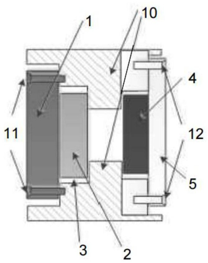 Satellite-borne ultra-miniature monitoring camera