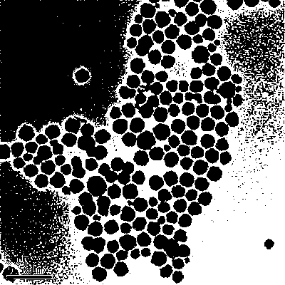 Preparation method of superparamagnetic Fe3O4 microspheres