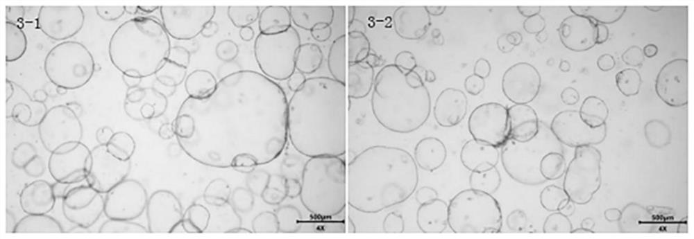 Organoid culture medium material and preparation method and application thereof