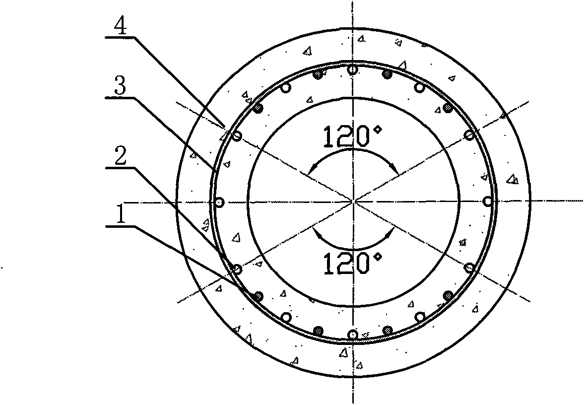 Horizontal force supporting pile and production process thereof