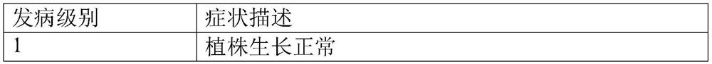 Application of 6-phosphoric acid-trehalose and cultivation method for improving yield and disease resistance of common kidney beans