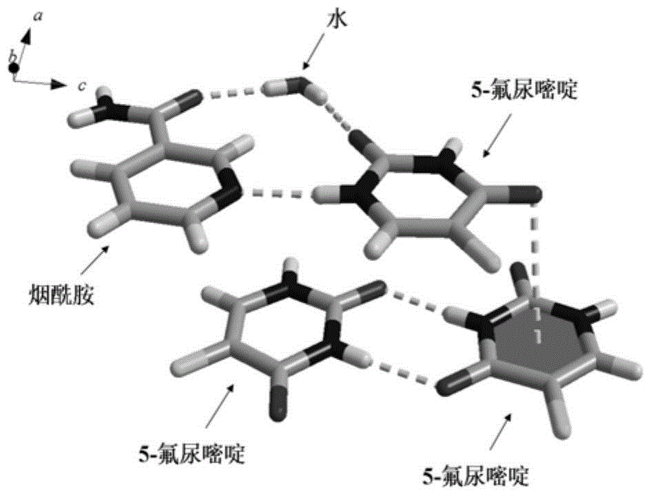 Medicine preparation containing 5-fluorouracil drug eutectic with nicotinamide as precursor and preparation method of medicine preparation