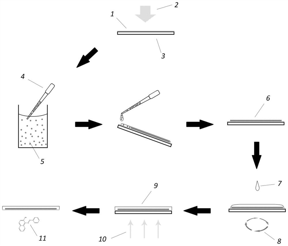 Preparation method of transparent dielectric microsphere flexible film with enhanced Raman scattering light intensity