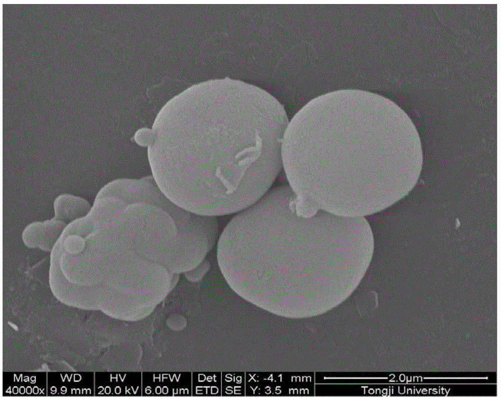 Concrete autolysis chemical sulfate corrosion resistance system in water environment