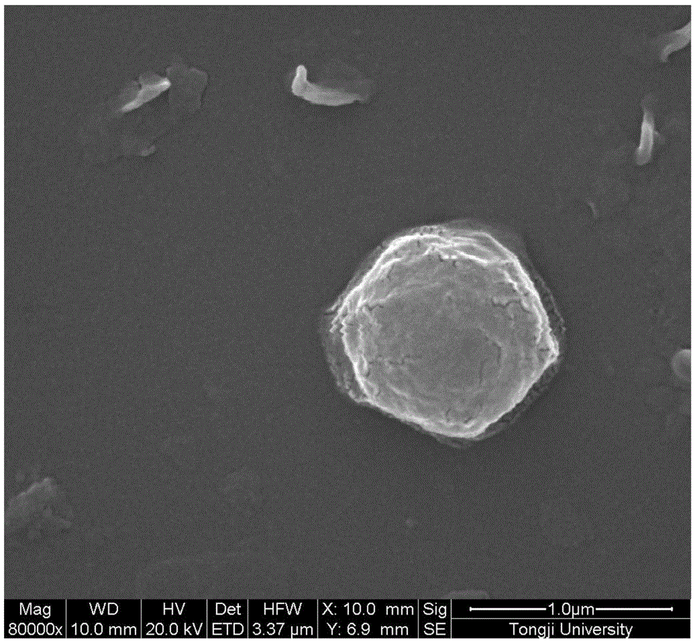 Concrete autolysis chemical sulfate corrosion resistance system in water environment