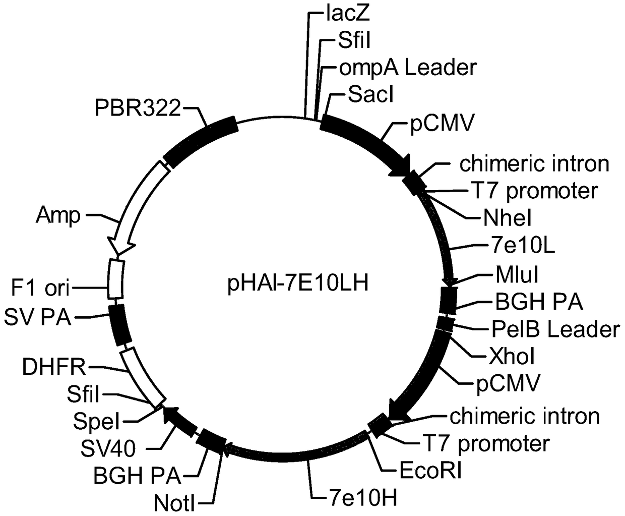 A kind of human-mouse chimeric monoclonal antibody and its preparation method and application