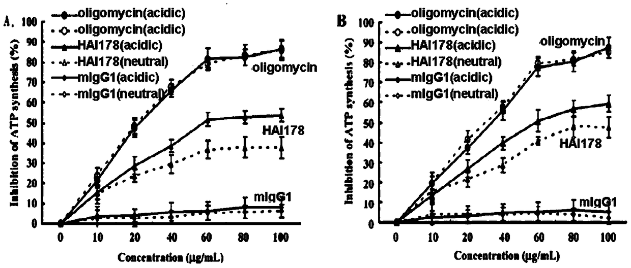 A kind of human-mouse chimeric monoclonal antibody and its preparation method and application