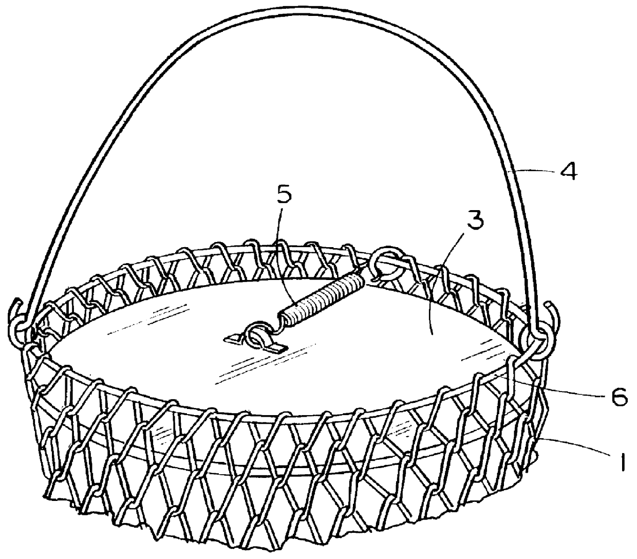 Collapsible wild game feeder apparatus