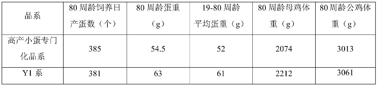 Seed production method of non-short high-yield small-egg layer synthetic line