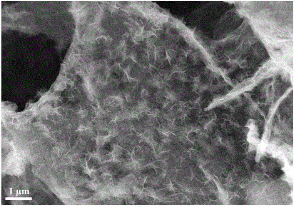 Nickel hydroxide/graphene roll-carbon nano-tube composite carbon aerogel, preparation thereof and application thereof