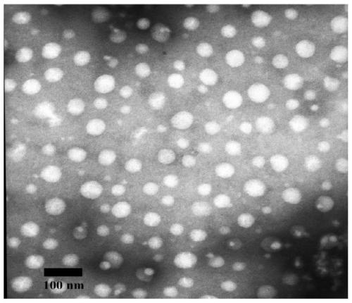 Polymer drug carrier with redox response and AIE effect, drug-loaded micelle and preparation method thereof