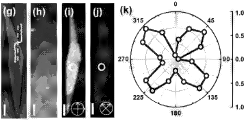 Method for epitaxially growing ultrathin organic crystalline layers on surface and its applications