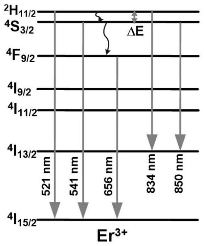 A temperature detection method based on the upconversion luminescence intensity ratio of rare earth Er ion four-level system