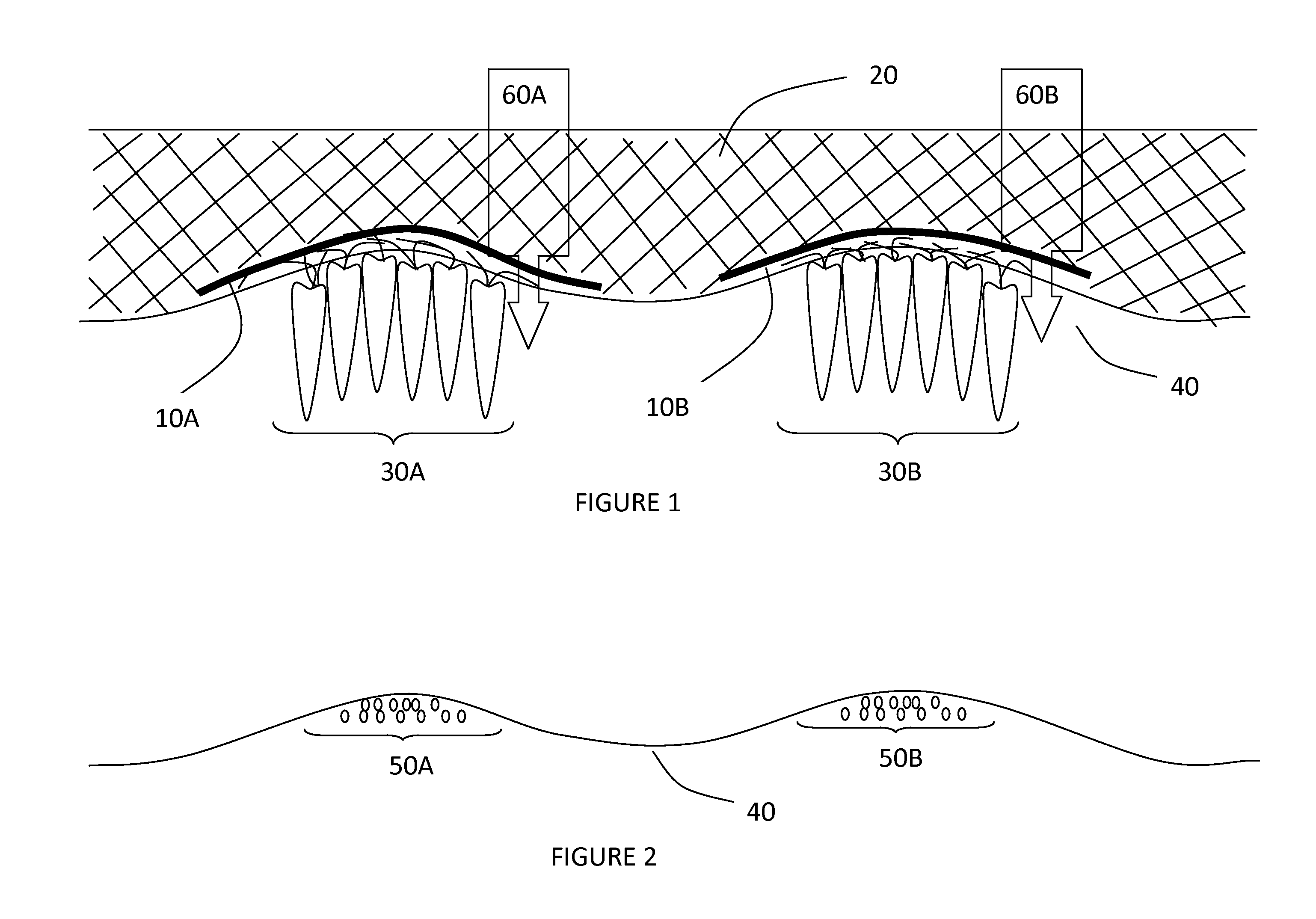 Method for over wintering root crops