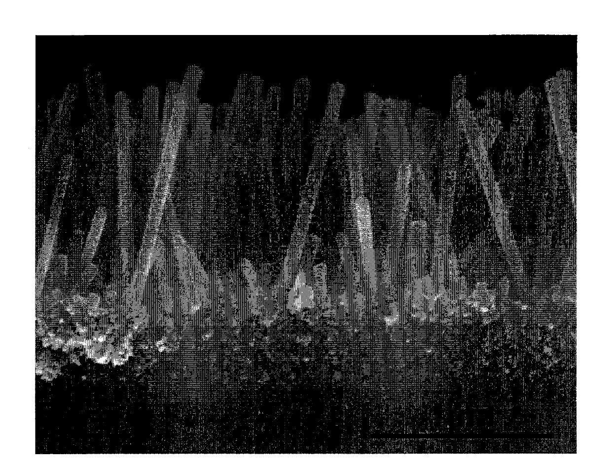 Large-area preparation method for zinc oxide nanorod array