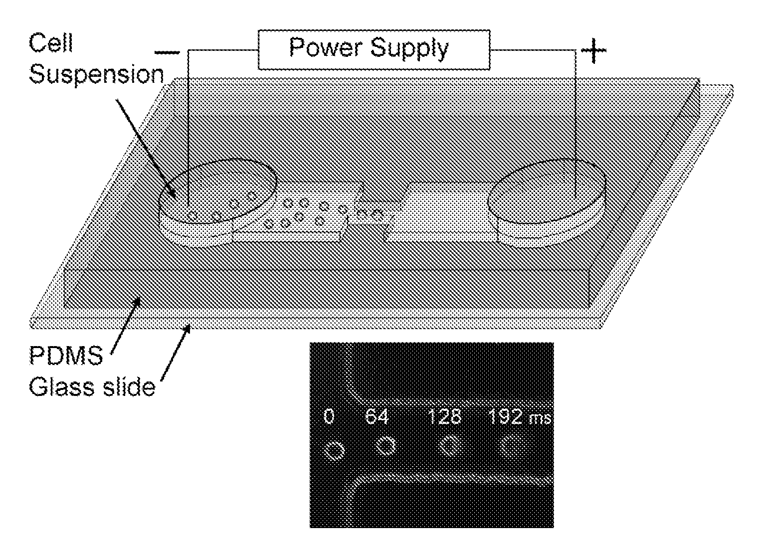 Electroporative flow cytometry