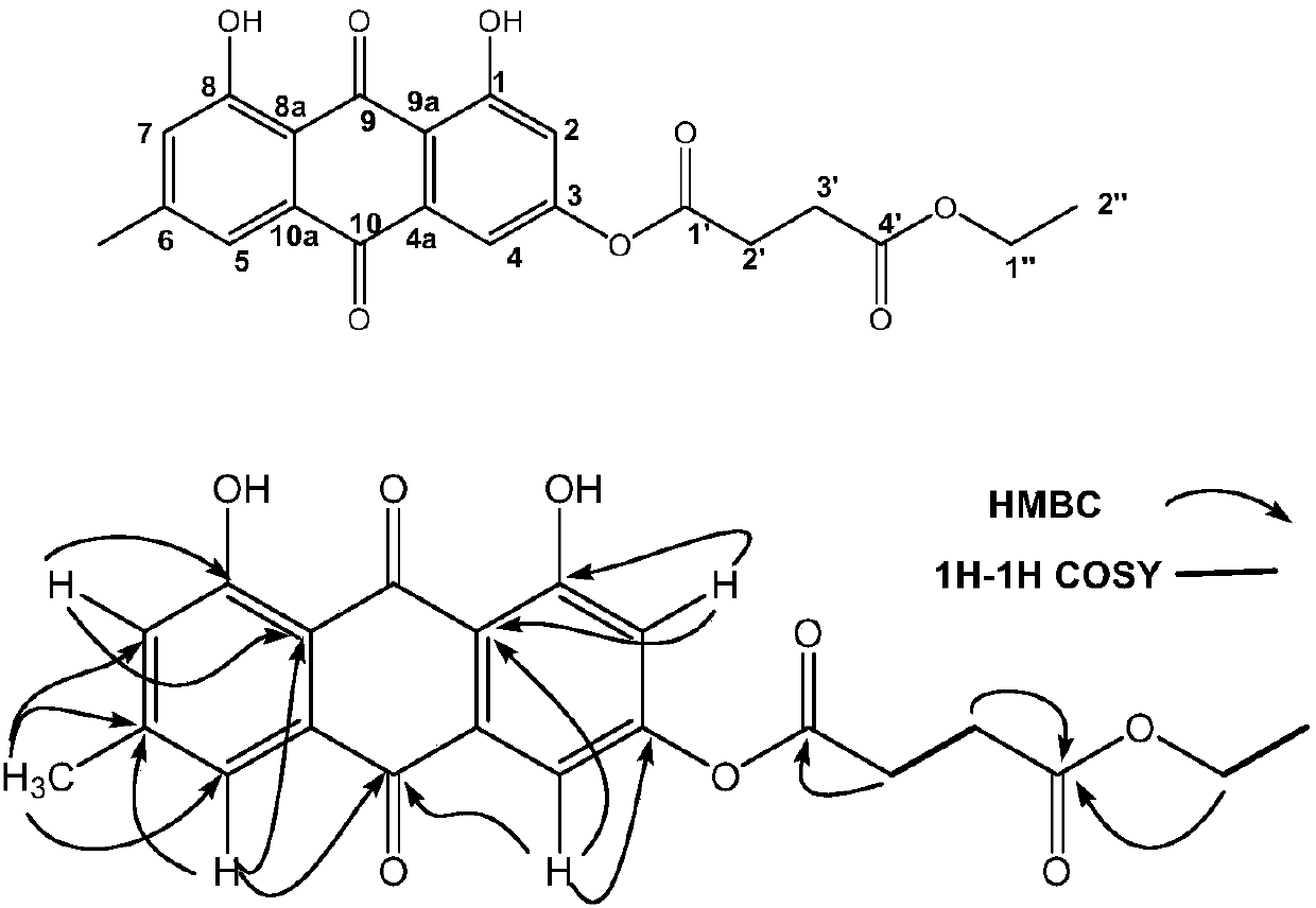 Emodin succinyl ester type compound as well as preparation method and application thereof