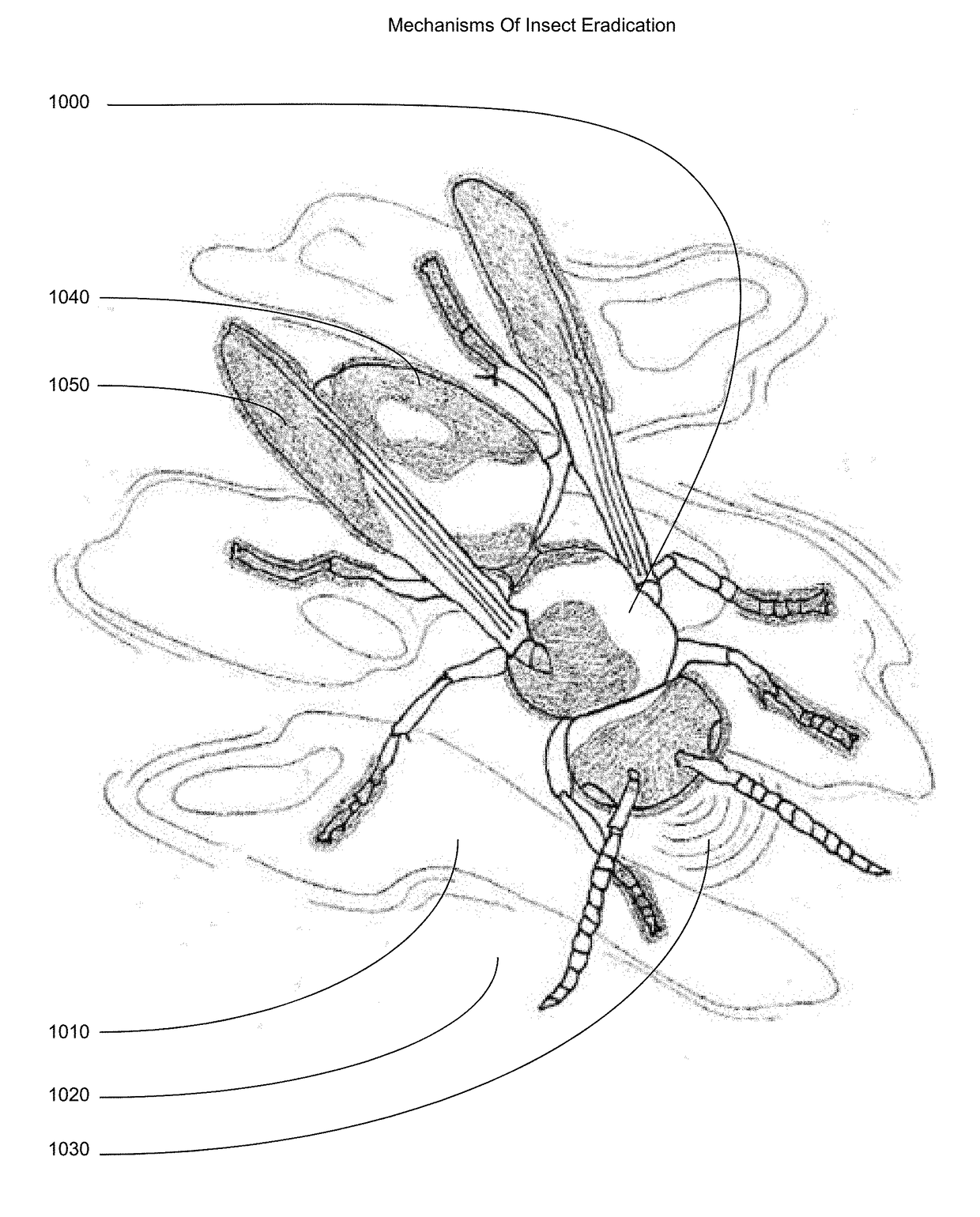 Insect Attractant And Eradicant