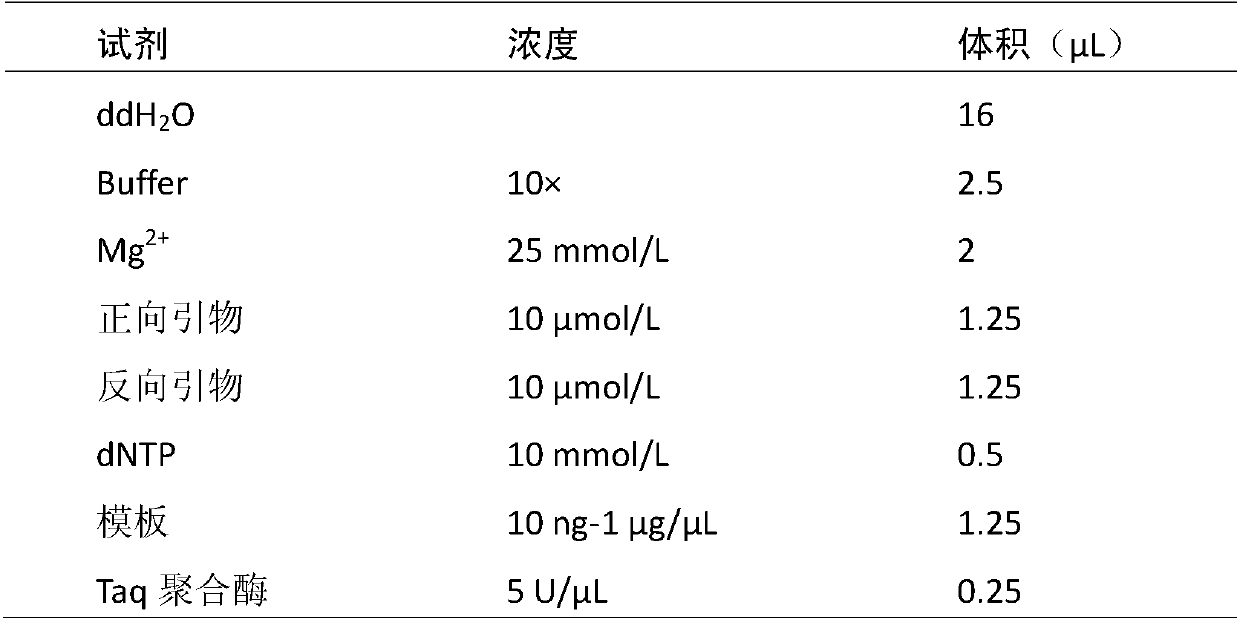 A kind of method and special-purpose dna bar code fragment of the identification method of Pleurotus eryngii strain