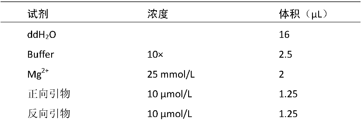 A kind of method and special-purpose dna bar code fragment of the identification method of Pleurotus eryngii strain