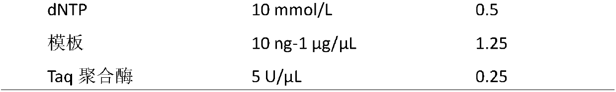 A kind of method and special-purpose dna bar code fragment of the identification method of Pleurotus eryngii strain