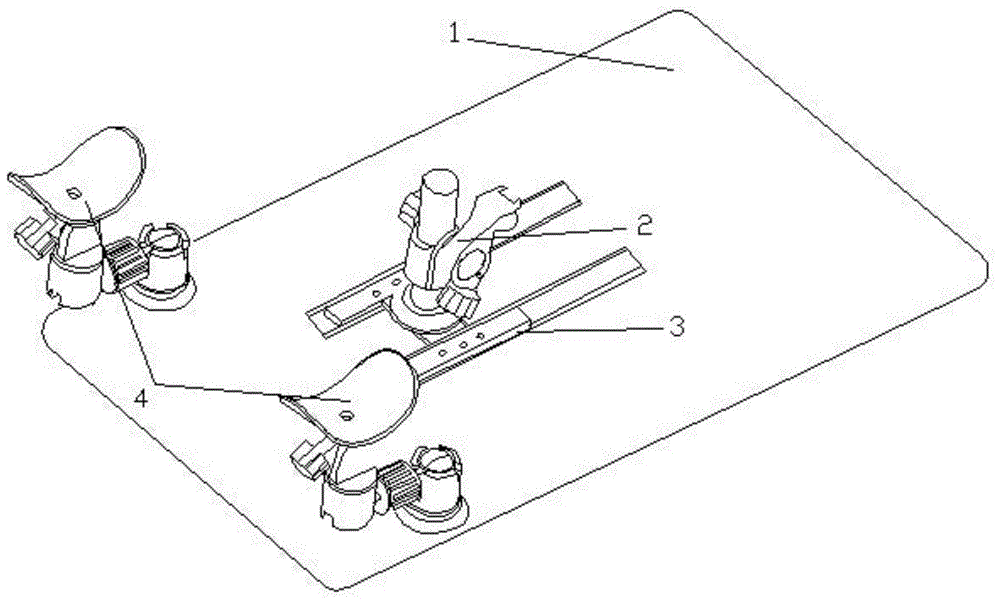 A bed for radiation therapy of cervical cancer