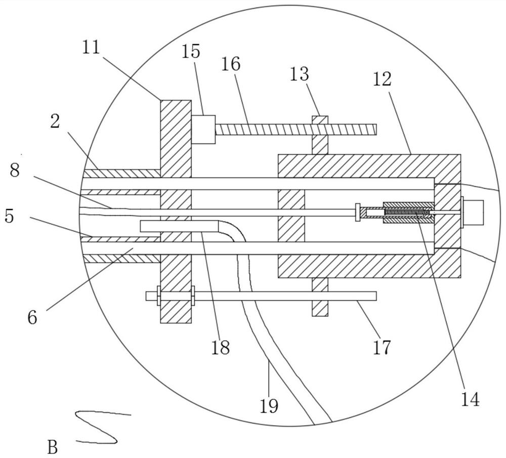 Electric-pulse ablation device capable of cooperating with drug administration