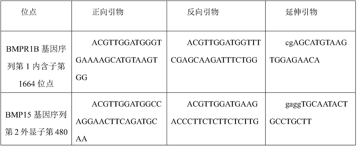 Molecular markers related to lambing traits of Nubian goat and combined application of molecular markers